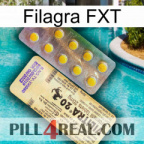 Filagra FXT new06